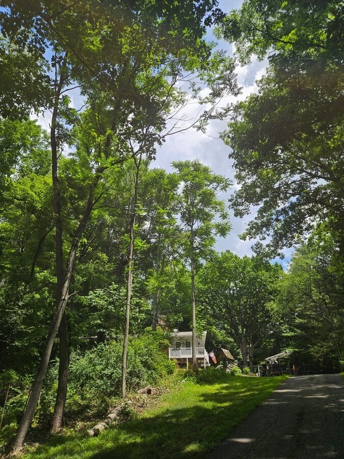 Tree debris and cut logs on a residential property during cleanup by GXB Precision Tree Care in Dutchess County, NY