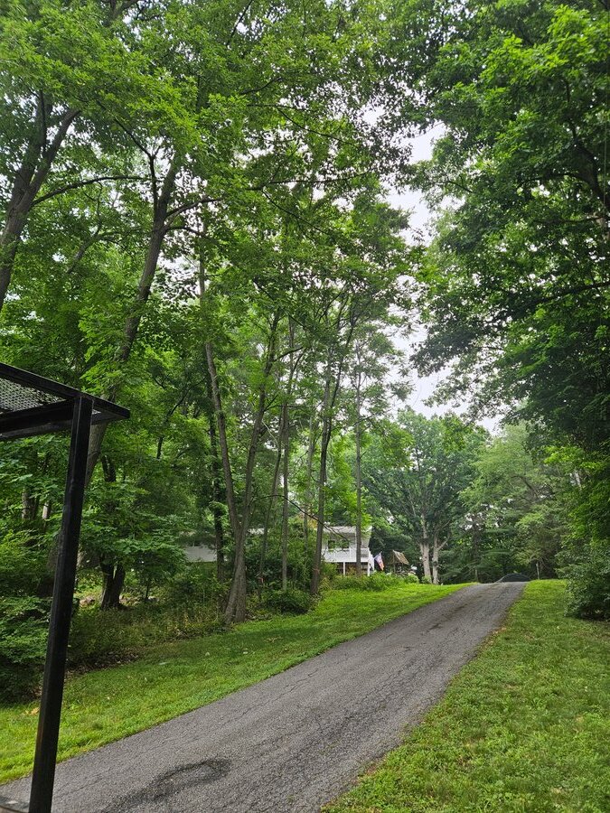 Clean finished driveway after tree removal and site cleanup by GXB Precision Tree Care in Dutchess County, NY