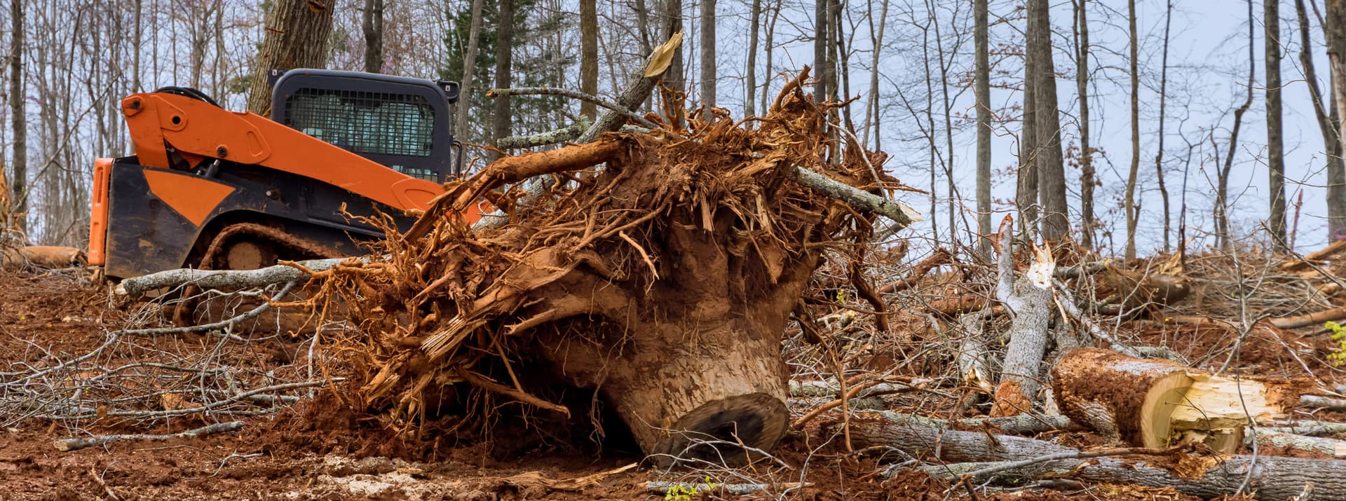 A tracked skid steer pushing out a large uprooted stump and root ball while clearing a wooded lot