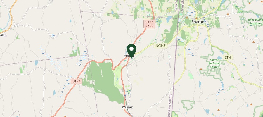Locator map showing Amenia, NY, within the GXB Precision Tree Care service area in Dutchess County
