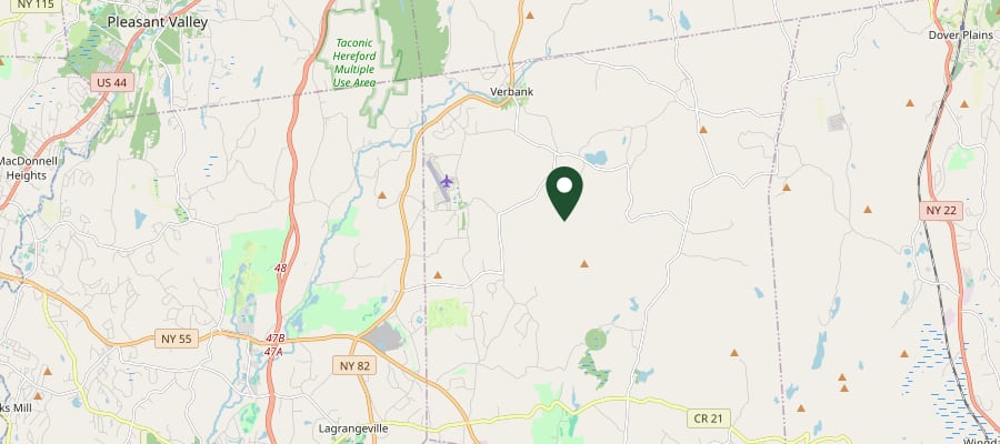 Locator map showing Union Vale, NY, within the GXB Precision Tree Care service area in Dutchess County