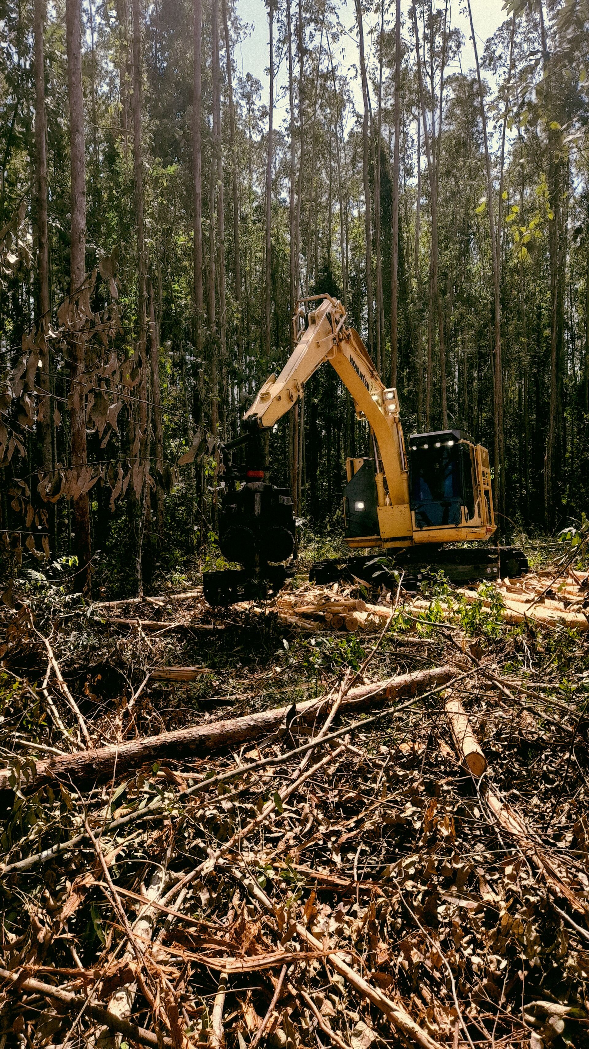 An excavator clearing trees and brush on a lot