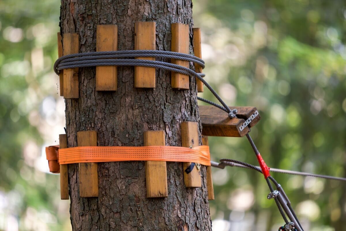 Steel cable hardware used in tree cabling and bracing support systems